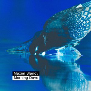 在线天堂中文官网
